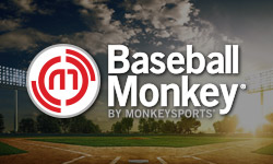 BaseballMonkey Logo Banner